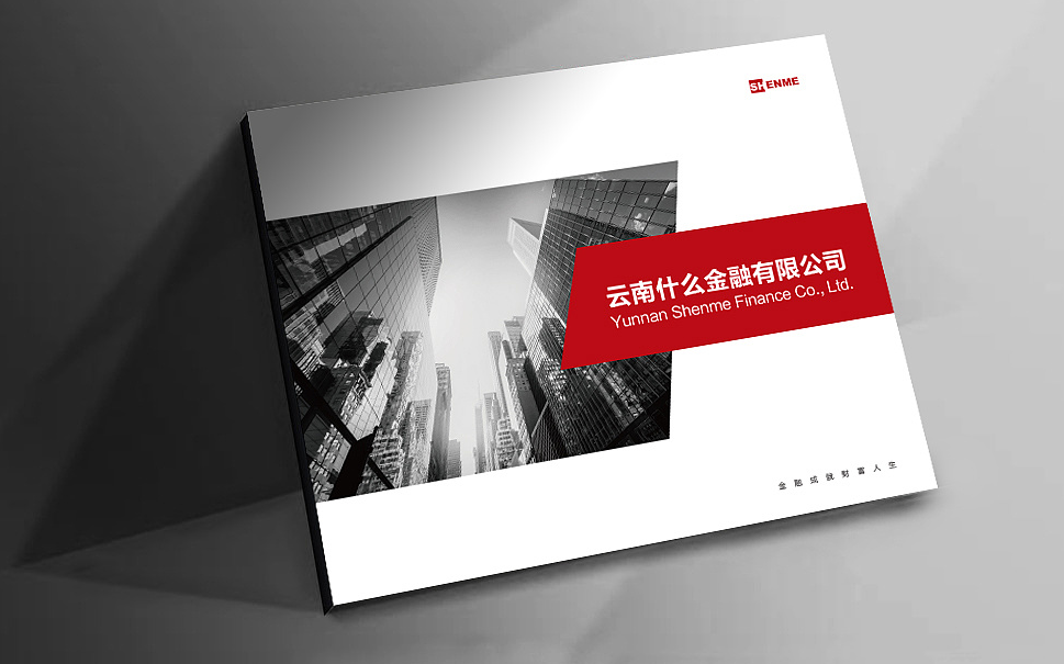 金融企業投資公司畫冊設計【什么金融】